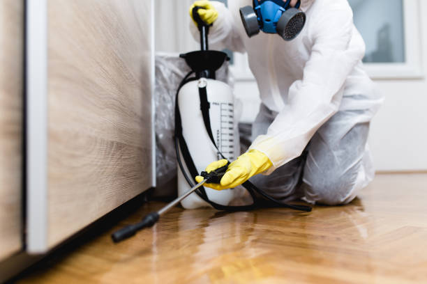 Best Cockroach Control Services  in Wendell, NC