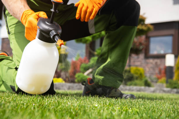 Best Best Pest Control Companies  in Wendell, NC