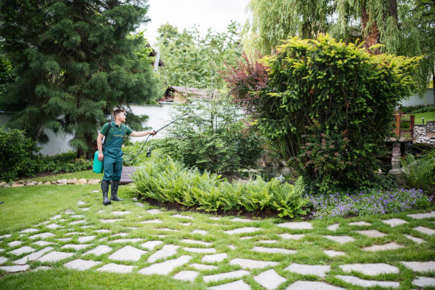 Wasp Removal Services in Wendell, NC
