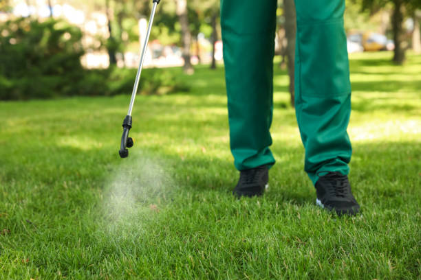Professional Pest Control in Wendell, NC