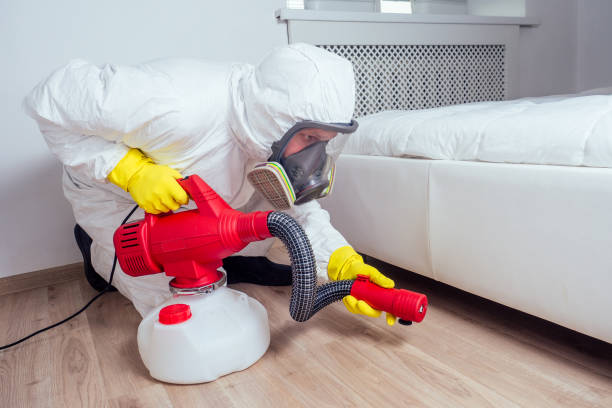 Best Mosquito Control Services  in Wendell, NC