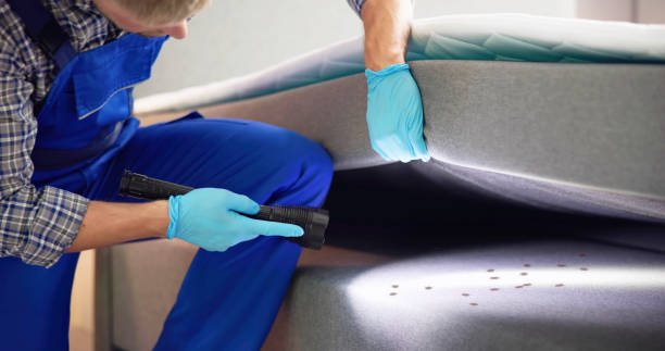 Best Bed Bug Extermination  in Wendell, NC