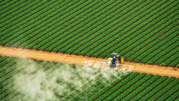 Best Local Pest Control Services  in Wendell, NC