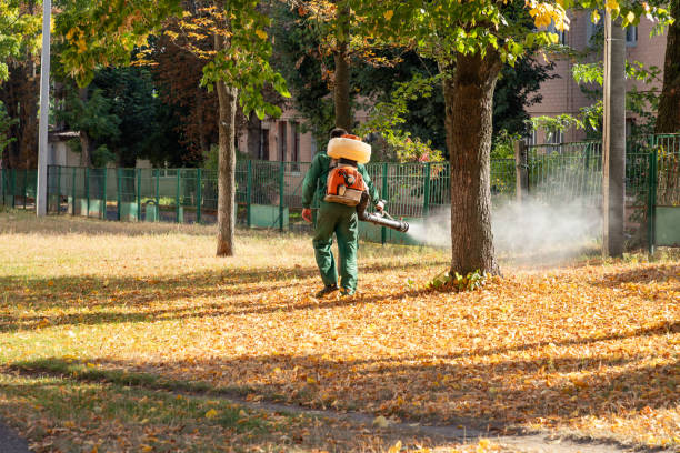 Wendell, NC Pest Control Company