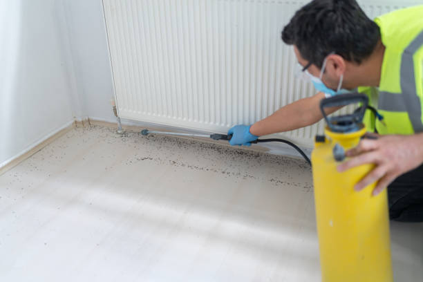 Best Wasp Removal Services  in Wendell, NC