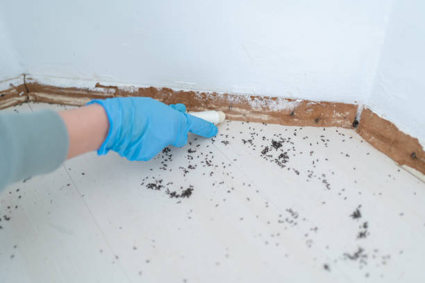 Best Exterminator Services  in Wendell, NC